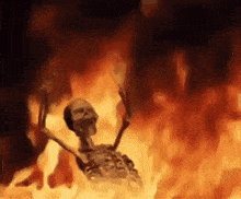 IMG_0588.gif