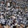 pnefc ok